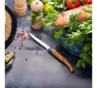 Couteau de poche fermant EFFILE OPINEL OLIVIER N°12