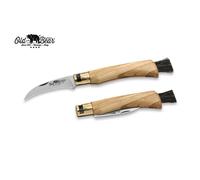 Couteau simple Antonini OldBear Mushroom Olive