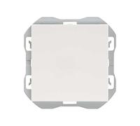 Couvercle aveugle large série, caractéristiques techniques de taille et de design, idéal pour couvrir les accès et maintenir l'esthétique dans les installations électriques.