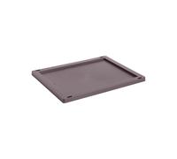 Couvercle Colour Crate plastique M LxWxH 35x27x1.5cm