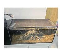 Couvercle D'aquarium Magnétique, Couvercle De Filet D'aquarium | Filet anti-évasion, couverture for poissons, reptiles, tortues, autres animaux qui s'échappent(150x50cm(59.06x19.69in))