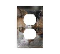 Couvercle de prise de courant en forme de chat, couvercle décoratif pour interrupteur électrique, plaque murale en acier inoxydable, plaque d'interrupteur décorative pour maison, bureau, hôtel