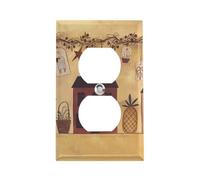 Couvercle de sortie de maison et de fruits, plaque murale standard américaine avec vis - En acier inoxydable résistant à la chaleur et aux chocs pour décoration d'intérieur