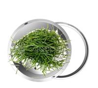 Couvercle de vidange d'herbe invisible, couvercle d'évier d'égout, couvercle de pompe de puisard pour aménagement paysager, couvercle de fosse septique fendue - Parfait pour le jardin et le jardin