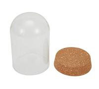 Couvercle dôme en verre pour plantes succulentes avec base en liège en bois - Décoration de table à faire soi-même pour la maison, le jardin, le terrarium (8 x 12 cm)