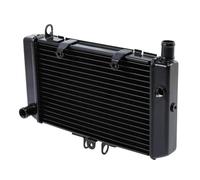 Couvercle Grille Radiateur Pour CB500 Pour CB-500 Pour CB 500 1993-2000 2001 2002 2003 2004 Radiateur De Moto Refroidisseur Accessoires Moto