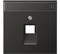 Couvercle Jung AL2969-1NAUAAN pour prise murale IAE/UAE, métal, IP20, anthracite