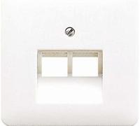 Couvercle Jung CD569-2UAPT - pour prise murale IAE/UAE, métal IP20, platine...