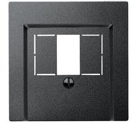 Merten System M 297914 Plaque centrale pour TAE Audio USB Anthracite