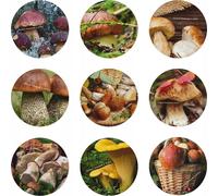 Couvercle pour bocal fi66 motif champignons 10 pièces