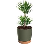 Couvercle pour pot avec soucoupe rond Ø 40 cm H 38 mat 35 L vert