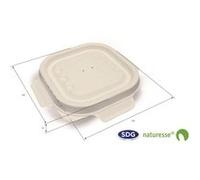 Couvercle Pulpe de Cellulose Biodégradable pour Barquette 3452 et 3453 x 500