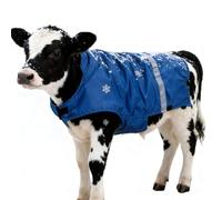 Couverture chauffante pour mollet, gilet d'isolation thermique réglable, 60 cm, pour petits bétails, protection coupe-vent avec bandes réfléchissantes, couverture ventrale pour écurie, pâturage et