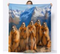 Couverture de Neige Marmotte Animal Photographie Canapé Lit, Plaid de Bleu Ciel Chaise Douce Jeté en Flanelle Imprimée - Couvertures Polaire Chaud Cadeau Décoration d'intérieur Maison, 150 x 200 cm