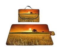 Couverture de pique-nique imperméable 200 x 300 cm - Grand tapis de plage pliable et portable - Pour concerts en famille, plage, parc, camping, randonnée, champ de blé et soleil