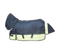 Couverture de pluie pour cheval d'hiver 600D, imperméable, résistante au gel, coupe-vent, col standard, chaude, pour toutes les saisons, durable et légère (bleu)