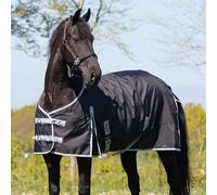 Couverture de pré QHP Turnout 300g Big Neck
