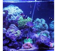 Couverture de Protection d'élevage de Corail, Couverture de Protection d'élevage de récif, Couverture Transparente en Acrylique CoralFeeder, avec Tube d'alimentation de Corail, (120mm)