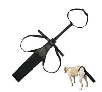 Couverture de queue de chien pour blessures - Sac de protection réglable | Protection de la plaie de la queue, soin des plaies pour chiens, poche confortable et sûre pour la pointe de la queue