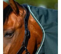 Imperial Riding IRHBasic Couverture d'extérieur 200 g - Col Amovible - Couverture d'extérieur de Poids Moyen - Matériau résistant aux intempéries - Soufflet de Marche - Polyester 600D - Sangles