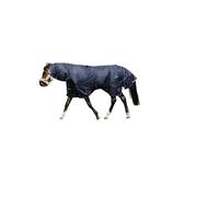 Couverture d'extérieur pour cheval Equithème Classic 1200D Combo 100g Bleu 198 cm