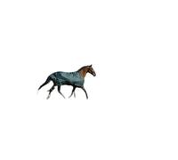 Couverture d'extérieur pour cheval Equithème Tyrex 600D 0g Vert 175 cm