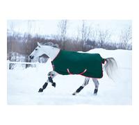 Couverture d'extérieur pour cheval Horseware Rambo Original Turnout Hvy 400g Vert 6'0"/130 cm