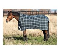 Couverture d'extérieur pour cheval Horseware Rhino Wug T/O Med Vl 250g Vert 125 cm
