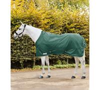 Couverture d'extérieur pour cheval Waldhausen Economic Vert 145 cm