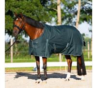 Couverture d'extérieur sans col pour cheval Imperial Riding Basic 200g Vert 205 cm