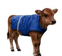 Couverture d'hiver pour Veau - Gilet de Protection Ventrale Réfléchissant pour Bétail - Couverture Isolante Bétail Veau | pour Étable, Pâturage Extérieur, Élevage, Nuit, Ferme