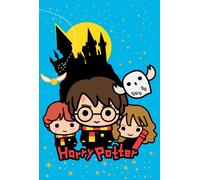 Couverture douillette Couverture en polaire pour enfants 100x150 Harry Potter kids