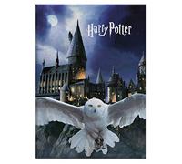 Couverture douillette en microfibre polaire pour enfant - Couverture polaire douillette et douce - Cadeau (Harry Potter)