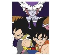 Couverture - DRAGON BALL Z - Modèle 2 - 100 x 140 cm - Synthétique - Lavable en machine