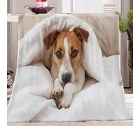 couverture en flanelle 150x200 cm, Photographie Animalière Jack Russell Terrier moelleuse douce et chaude couverture imprimée, couverture de canapé pour adolescents et adultes Couleur Claire