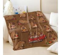 Couverture en flanelle imprimée dessin animé Capybara - Collage amusant - Couverture douce pour canapé et lit - Idéal pour décoration de chambre d'enfants et d'adultes (03, 130 x 150 cm)