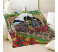 Couverture en flanelle imprimée train à vapeur dessin animé, style vintage super douce et confortable, pour canapé-lit, décoration d'intérieur parfaite pour enfants et adultes (05, 130 x 150 cm)