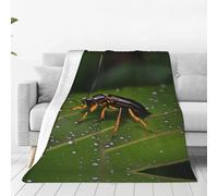 Couverture en flanelle ultra douce imprimée d'insectes sur feuilles - Convient pour lit double, canapé, camping et comme cadeau - 101,6 x 76,2 cm