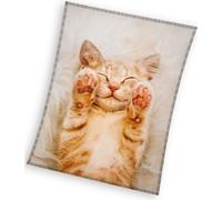 Couverture en micropolaire Rusty Kitten 130x170 cm