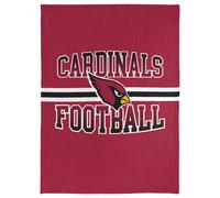 Couverture en peluche FOCO NFL Micro Raschel avec logo ray 45 x 60 Houston Texans