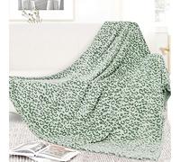 Couverture en polaire légère et confortable pour lit simple, vert sauge, 152,4 x 203,2 cm, douce et chaude, vert olive, décoration d'intérieur pour toutes saisons, canapé-lit