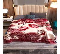 Couverture en tissu Raschel en polyester 100 %, Kingsize, épaisse, double couche, chaude, confortable, couverture moelleuse pour la chambre à coucher, le salon, l’hiver, lit simple, lit double (Style