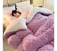 Couverture en velours sur les côtés, couette d'hiver épaisse super douce, respirante et chaude, couette en peluche moelleuse, cachemire et tissus doubles