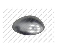 Couverture fãƒâ ¼ r auãƒâÿen Miroir droite AA3 407405 10/2003-03/07 Cache