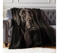 Couverture Flanelle 130 x 150 cm Labrador Retriever Plaid Multifonction Doux pour Voyage Camping Canapé Lit Bureau Activités Extérieures