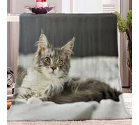 Couverture Flanelle Doux et Confortable Animal Chat Maine Coon Motif Couverture Plaid Polaire Couverture de Canapé Lavable, Simple Couverture pour Chambre Canapé et Lit Décoration 150 x 200 cm