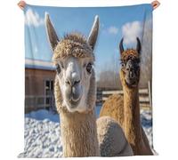 Couverture Flanelle Doux et Confortable Animal de Ferme Mignon Portrait d'alpaga Motif, pour Chambre Canapé et Lit Décoration 200 x 220 cm Enfants Garçons Filles Couleur Couverture Plaid Polaire