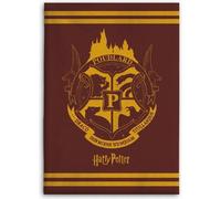 Couverture Harry Potter - Couverture de salon 130x160 cm pour chambre d'enfant et plus