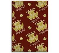 Couverture Harry Potter - Couverture de salon 130x160 cm pour chambre d'enfant et plus