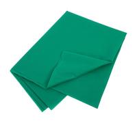 Couverture Isolante pour Légumes en Non Tissé, Protection Hivernale | Housse de Plante Non Tissée, Usage en Serrage Tunnel ou Cloche, Vert, Épaisse